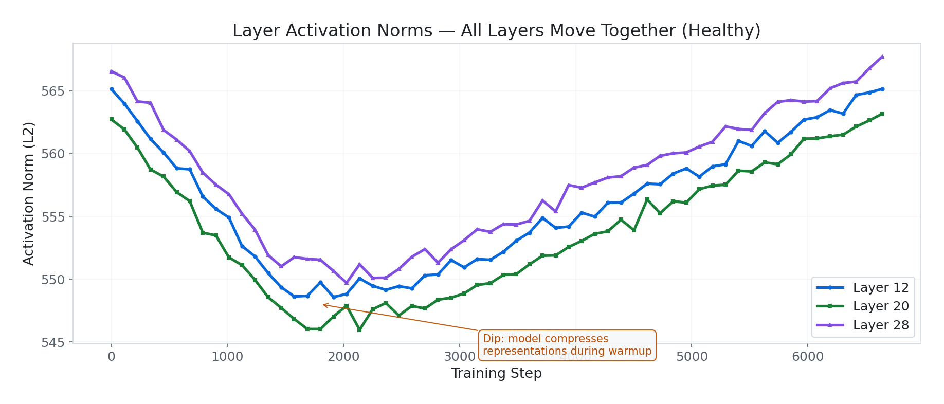 Layer activation norms
