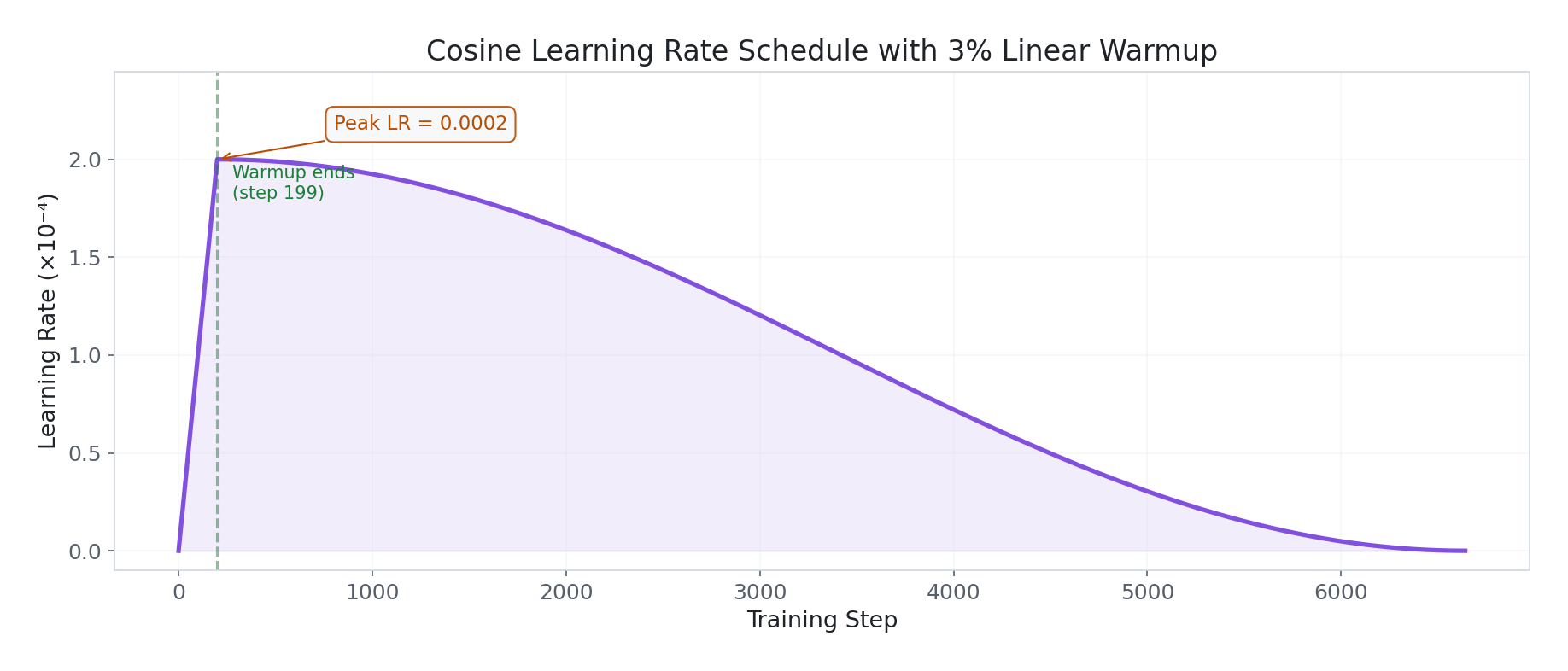 Cosine learning rate schedule with warmup